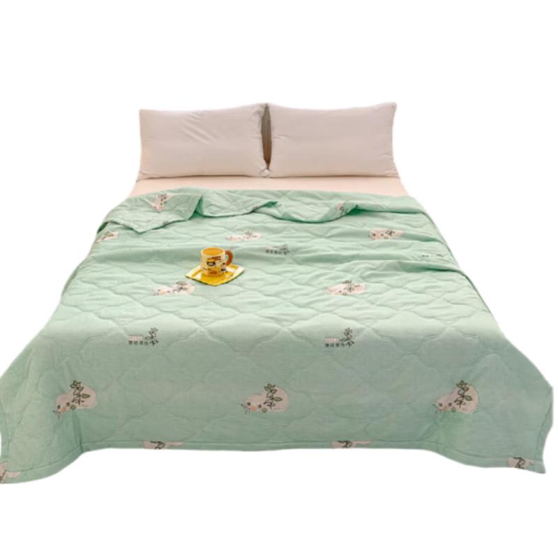 Refreshing Mint Summer Cooling Quilt