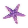 Starfish Model: Educational Sea Creature Toy & Fish Tank Decoration