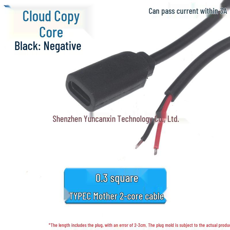 0.3m Type-C Dual-Core 3A Fast Charging Cable with Tinned USB-C Male Connector