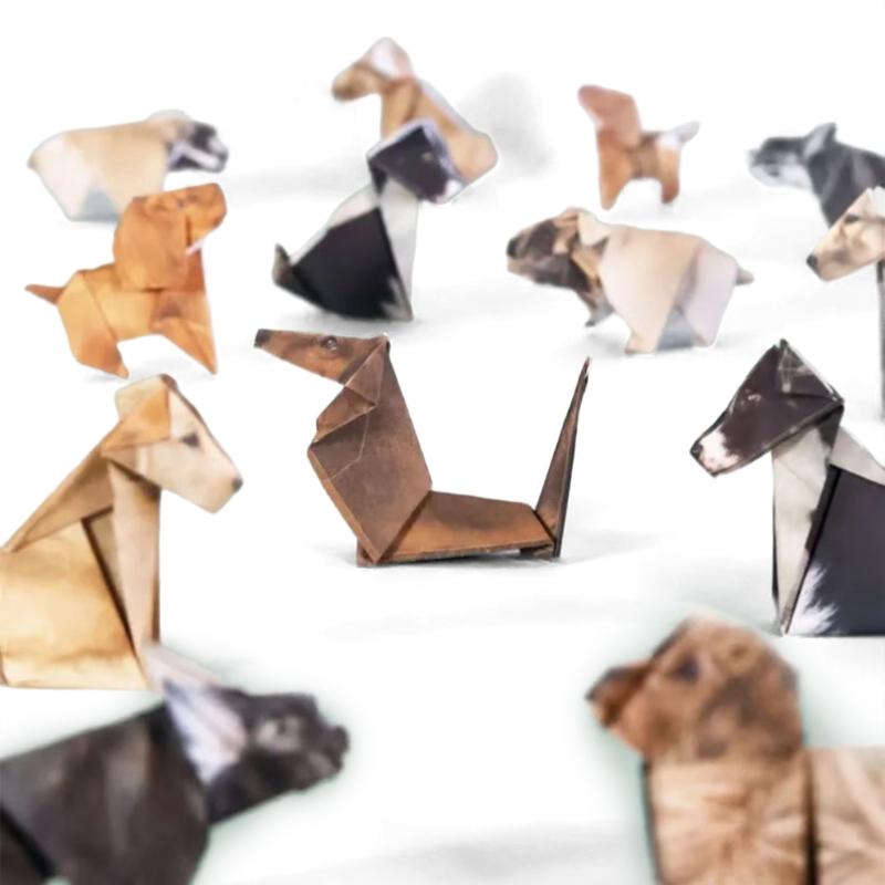 Set de activități creative pliabile cu pisici, câini și dinozauri din hârtie realizate manual Pentru copii, adulți și iubitori de animale Cadou Proiecte de artizanat Decorațiuni