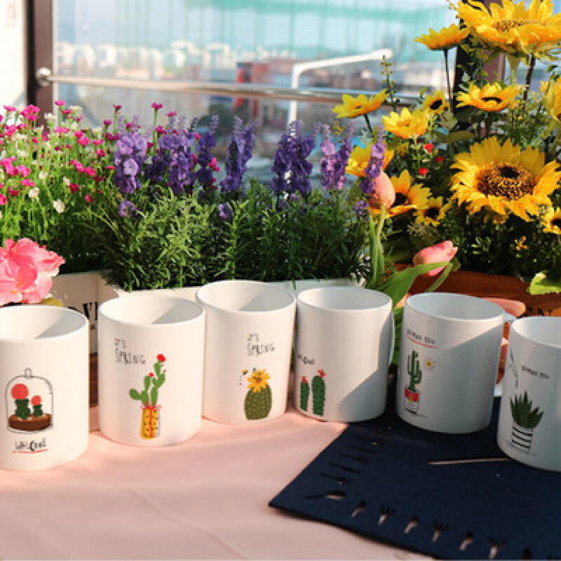 cs767-Design Mug 6p-Cute Cactus Series