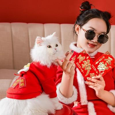 Alles Gute Katzenkleidung festlich Chinesisches Neujahr dünner Samtpullover Puppe in Kätzchen Welpe Hund Neujahr Haustier Katze Kleidung