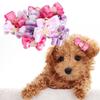 15Pcs Rainbow Ribbon Pet Bow Hair Bows Gradient Tone Gradient Ribbon Bow  Pet Hair Arrangement