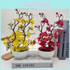Praecox Chimonanthus Flower Basin Decorative Potted Plant For Home Office Gift