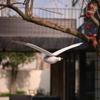 Elegante Fliegende Klappende Möwen Bastelarbeiten Kreativer Fliegender Möwen Anhänger Bauernhaus