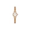 Eco-Drive Series Classic Eco-Drive Waterproof Quartz Steel Strap Women's Watch White Dial EG7082-66