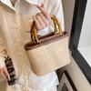 Straw Basket Small Bag for Women, New Fashion Woven Handbag, Spring Summer Textured Crossbody Bag