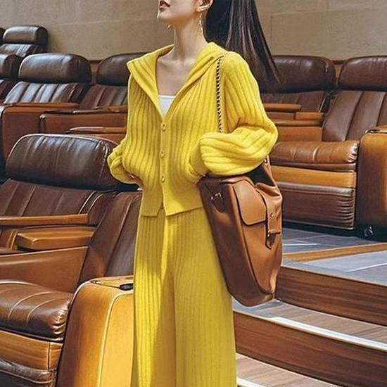 

Trendy Yellow Hooded Knit Cardigan & Wide-Leg Pants Casual Set for Women M (50-57.5 kg)