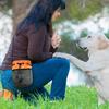 Köpek – Eğitim ve Öğretim Araçları