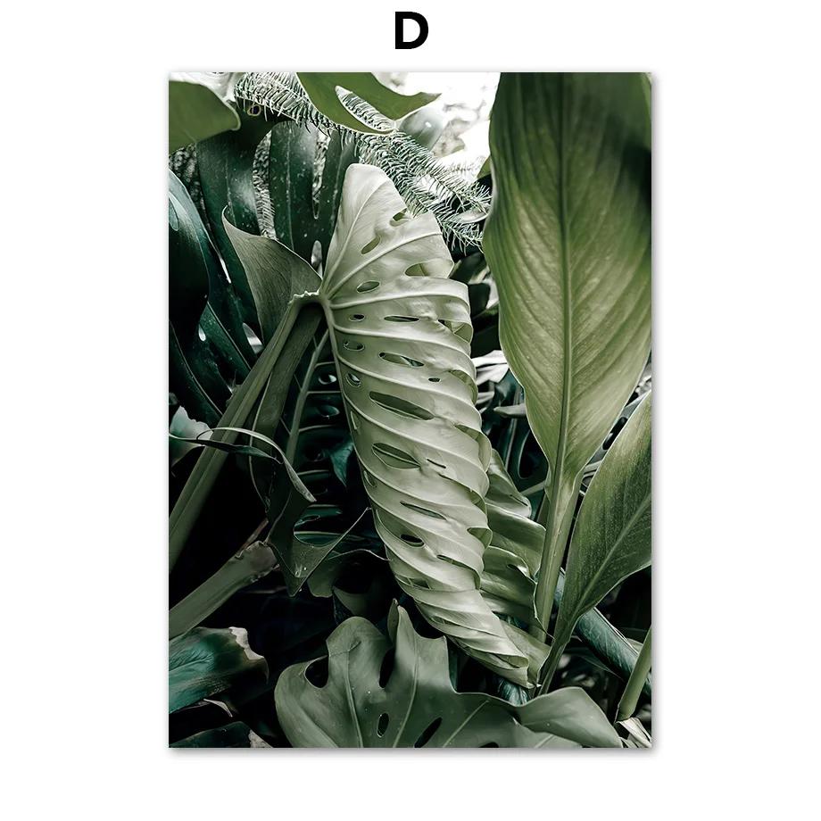 Monstera Plant Leaf Matisse Woman William Posters And Prints Canvas Painting Nordic Wall Art Pictures For Living Room Decor