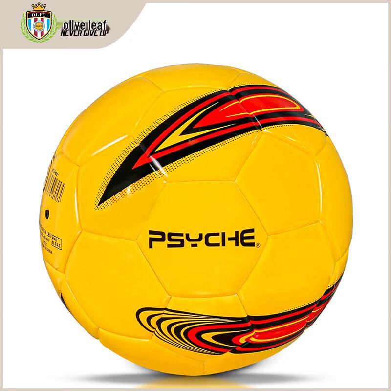 PSYCHE F4001 Youth Training Football