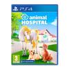 Video Game - Animal Hospital - Ps4 - Simulation - Decoration - Pet Care