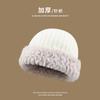 Wool hat women's autumn and winter 2025 new thickened warm face small versatile plush wool fisherman hat