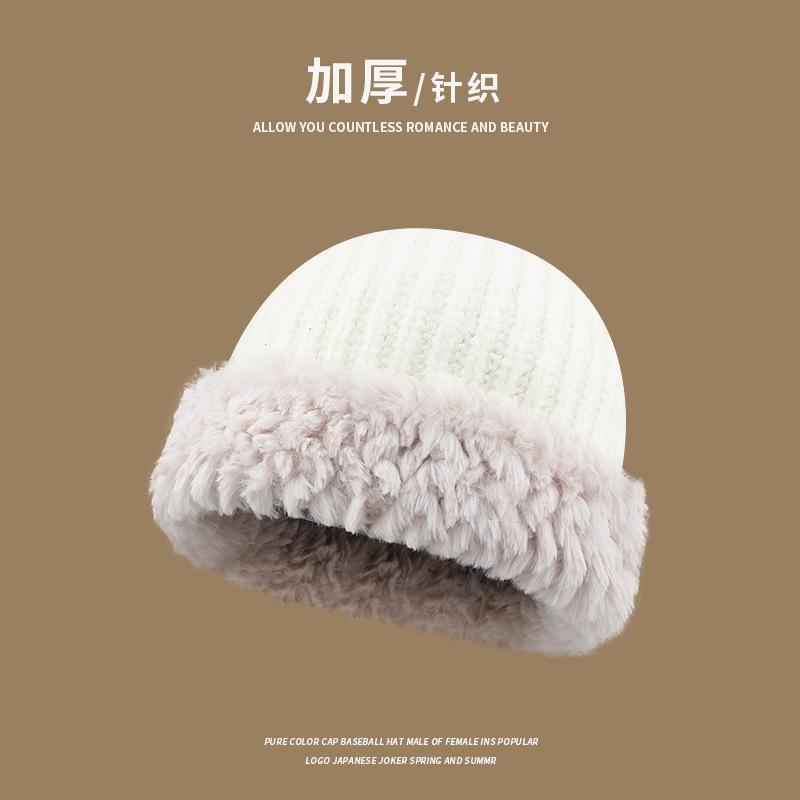 Wool hat women's autumn and winter 2025 new thickened warm face small versatile plush wool fisherman hat