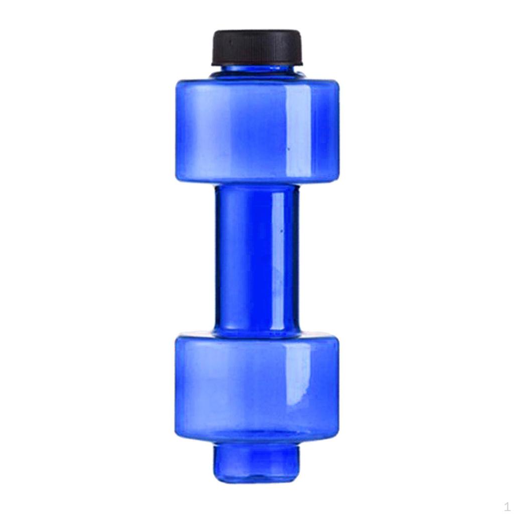 Companion for Fitness Enthusiasts