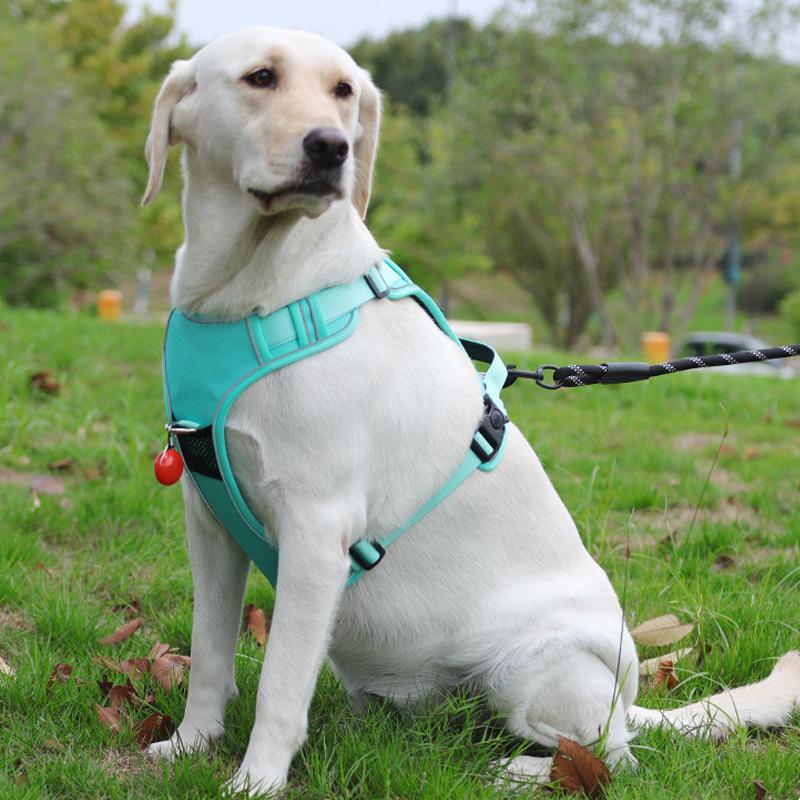 Dog Harness Adjustable Reflective Dog Vest Chest Strap for Small Medium Large Dogs Outdoor Walking Puppy Vest Dog Accessories