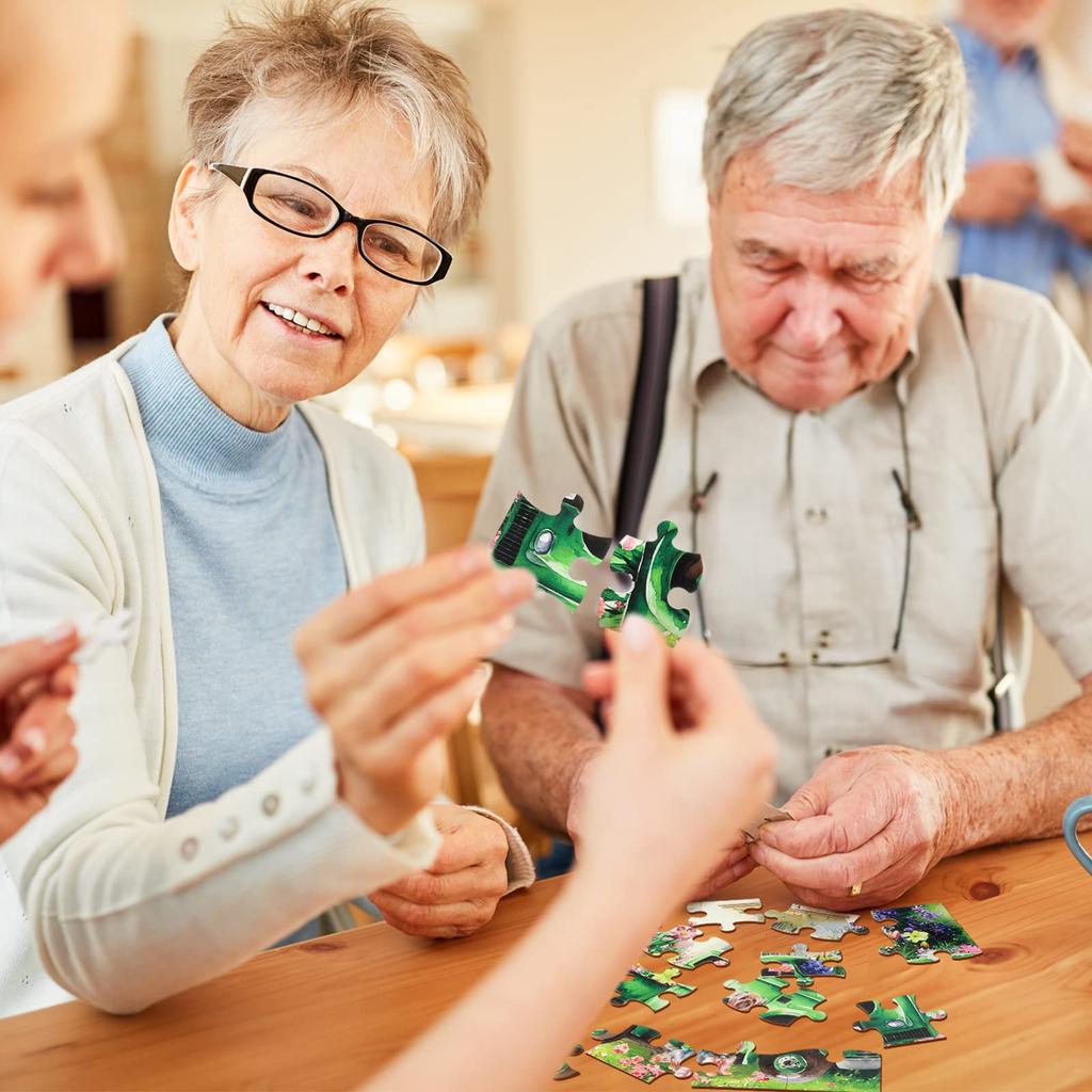 Liliful 6 Pack 16 Piece Large Puzzle for Seniors Wooden Dementia Puzzle Puzzle Easy Puzzle for Seniors X Inch Jigsaw Puzzle for Adults Disease