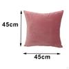 2 Pieces Velvet Solid Throw Case Decorative Cushion Decor for Living Room Couch Sofa Car 18 X
