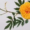 Artificial Marigold 3 Head UV Resistant Fake Silk Flower with Leaves Indoor Outdoor Garden Table Centerpiece Faux Bloom Decoration