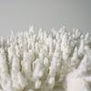 Modern Geometric Art Simulation Coral Sculpture Ornaments, White Coral Model Sculptures, Resin Crafts, Home Decoration