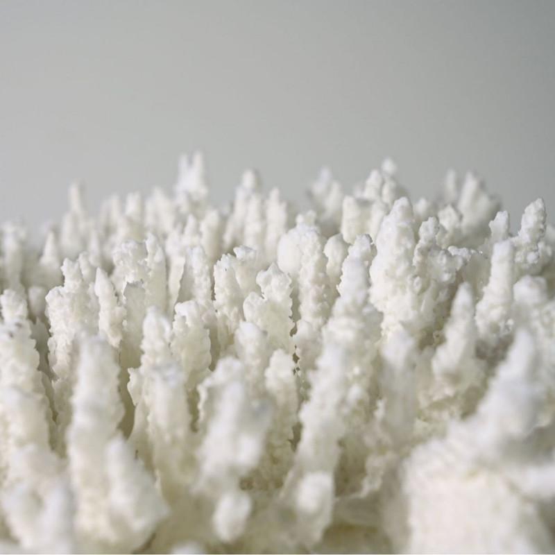 Modern Geometric Art Simulation Coral Sculpture Ornaments, White Coral Model Sculptures, Resin Crafts, Home Decoration