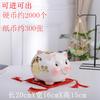 Home Big Money Box Piggy Banks Children Coin Piggy Bank Molds Cute Box Money Boxes Mistery Coin Jar Atm Spaarpot Children Gifts