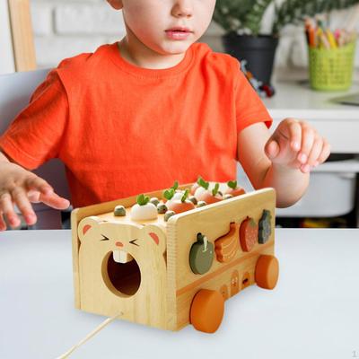 Shape Color Sorting Matching Game Fishing for Boys Girls 1 2 3 Year Old