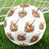 Floral Guitar Harmony Soccer Ball Size 5 Football Machinestitched Indooroutdoor Universal Football Ideal For Soccer Enthusiasts Suitable For Birthdays