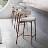 Nordic Modern Minimalist Light Luxury Solid Wood Home High Bar Stool Designer Bar Chair Bar Stool with Backrest
