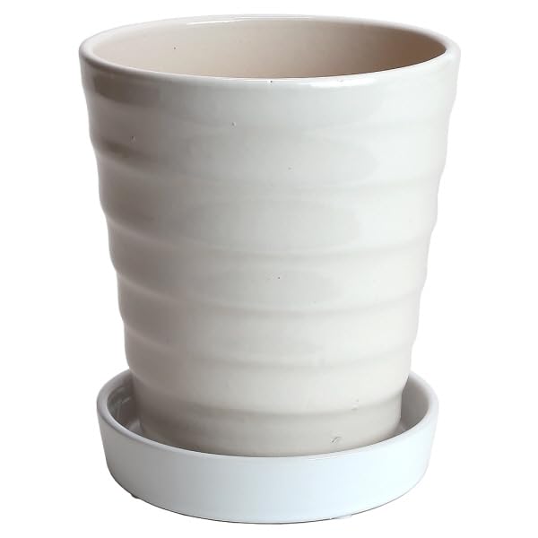 

Горшок Микава яки KANEYOSHI в отечественном Керамический цветочный горшок Микава яки Цветочная дорога Белый Белая глазурь 5 тарелок в комплекте [Сделано в Японии/Надежное качество] №