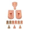 Silicone Piercing Practice Model Simulation Soft Flexible Nose Ears Model for Display Teaching
