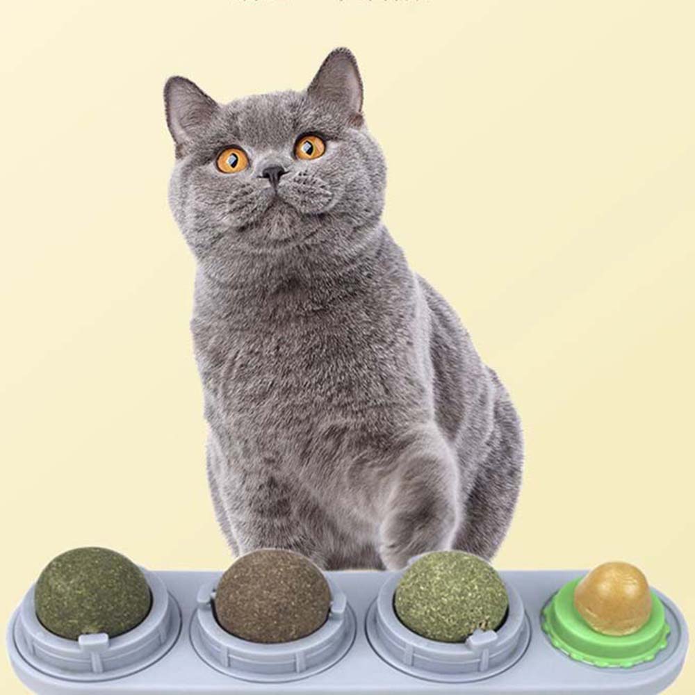Natural Lick Cat nip Cat Supplies Chew Ball Teeth Cleaning Cat Toys Catnip Balls Molar Cat Snacks