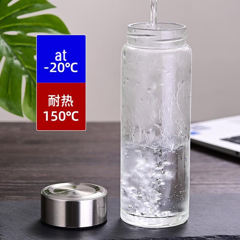 WateryBay Borosilicate Glass Tea Infuser Bottle