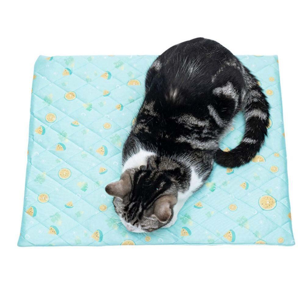 

Scratch Resistant Pet Beds Durable Pet Cushion Cat Nest Summer Pet Dog Mat Summer