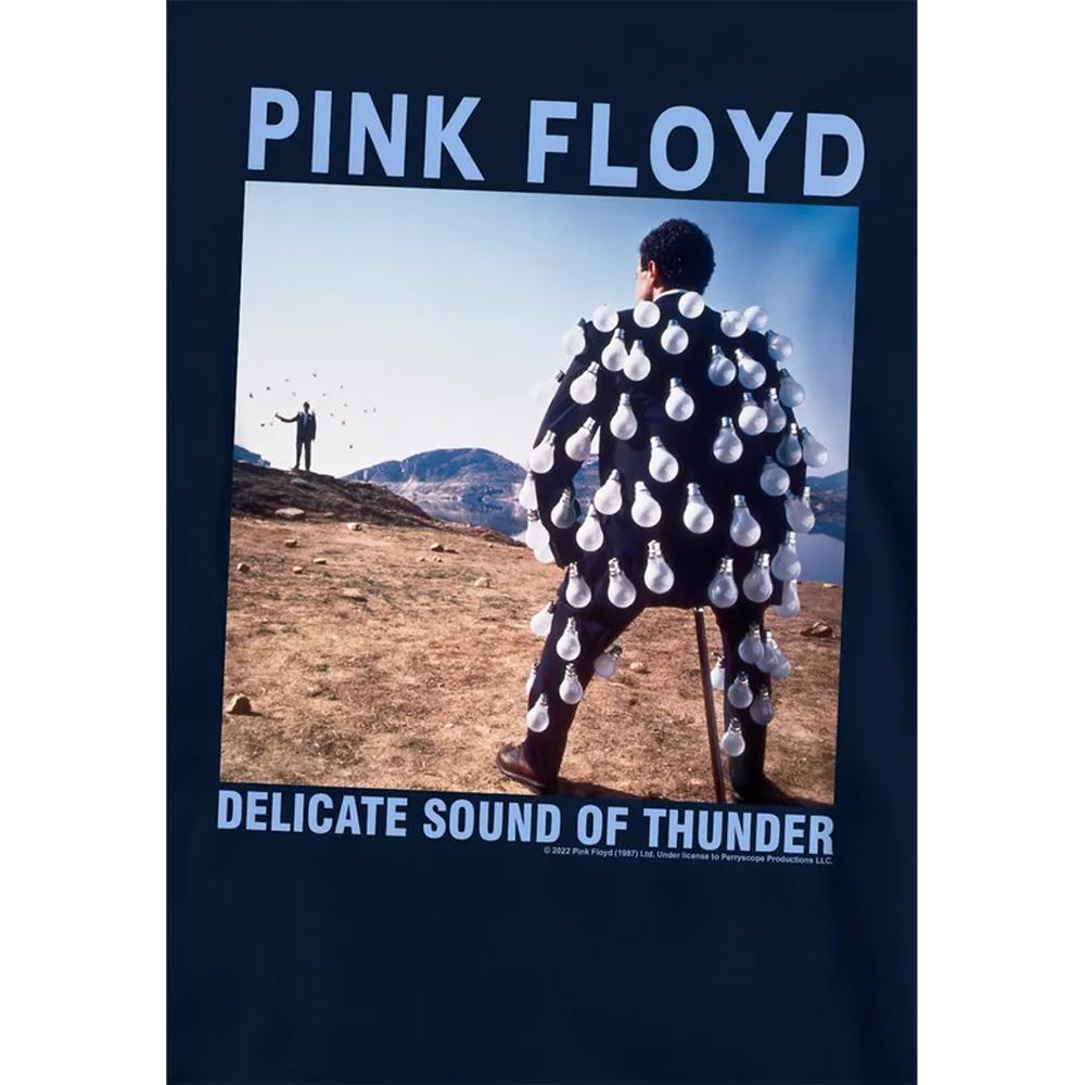 Pink Floyd Childrens/Kids Delicate Sound Of Thunder Hoodie