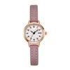 Light Luxury Simple Small Plate Watch Women'S Retro High-End Business Belt Waterproof Quartz Watch