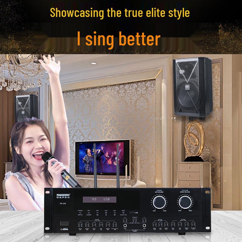TEMEISHENG TK910 High-Power KTV Audio System with Microphone and Song Machine CN Plug (adapter Included) (CN Version)