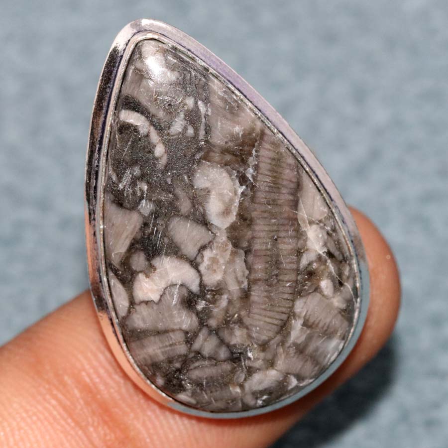 Crinoid Fossil 925 Silver Plated Ring US 7 Statement Jewelry Most Beautiful V1o21