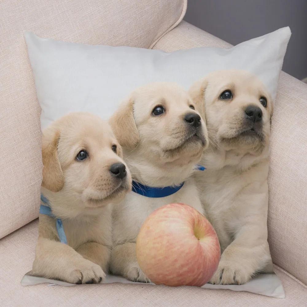 

Офис Гостиная Дом Наволочка Питомец Лабрадор Узор Наволочка Автомобиль Украшения 50x50cm