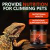 Cross-border Reptile Electrolytes: Nutritional Supplements for Geckos, Lizards, Tortoises, and Snakes To Relieve Stress & Support Intestinal Health.