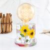 1 Set  Lamp Mold Eco-friendly DIY Silicone Craft Making Resin Epoxy Mold for Home