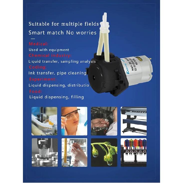 L Board DC 6V 12V 24V peristaltic pump dosing pump aquarium laboratory analysis BPT heat-resistant can be used weak acid alkali