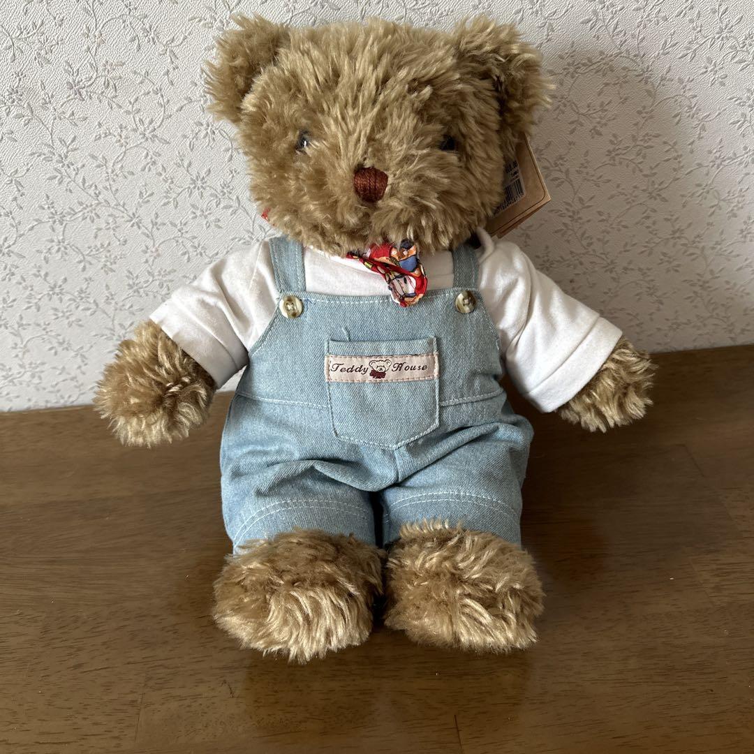 

[USED] Teddy Bear Teddy House