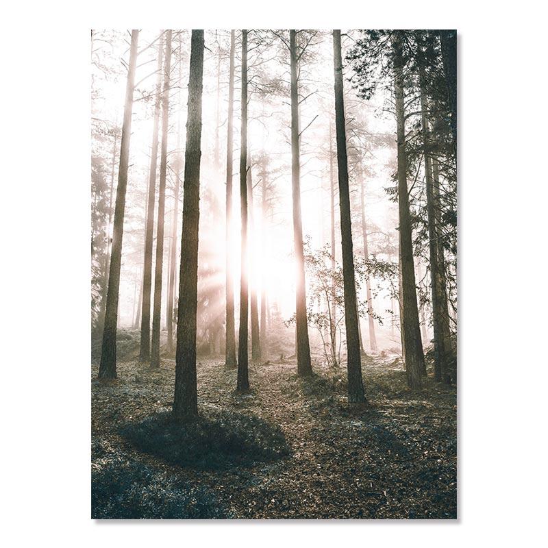 

Природный пейзаж, пейзаж, настенное искусство, холст, постер и принт, картина с цветком, травой, солнцем, туманом, домашний декор для гостиной 21x30cm No Framed