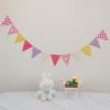 Fresh Triangle Birthday Banner: Fairy & Little Boy Theme Garland