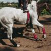 4pcs Horse Wraps Soft Wraps Equestrian Leg Bandage Wrap Horse Leg Injury Protective Cover