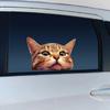 Accesorios de exterior – Pegatinas para automóviles
