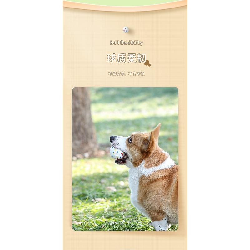 Durable Bite Resistant Elastic Solid Ball Chew Toy For Pet Dogs