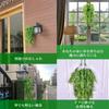 Doyime Artificial Green Plants, Set of 2, Hanging Plants, Large Wall-Mounted Plants, Fern Plants with Leaves and Vines, Long-Lasting Ivy Plants,