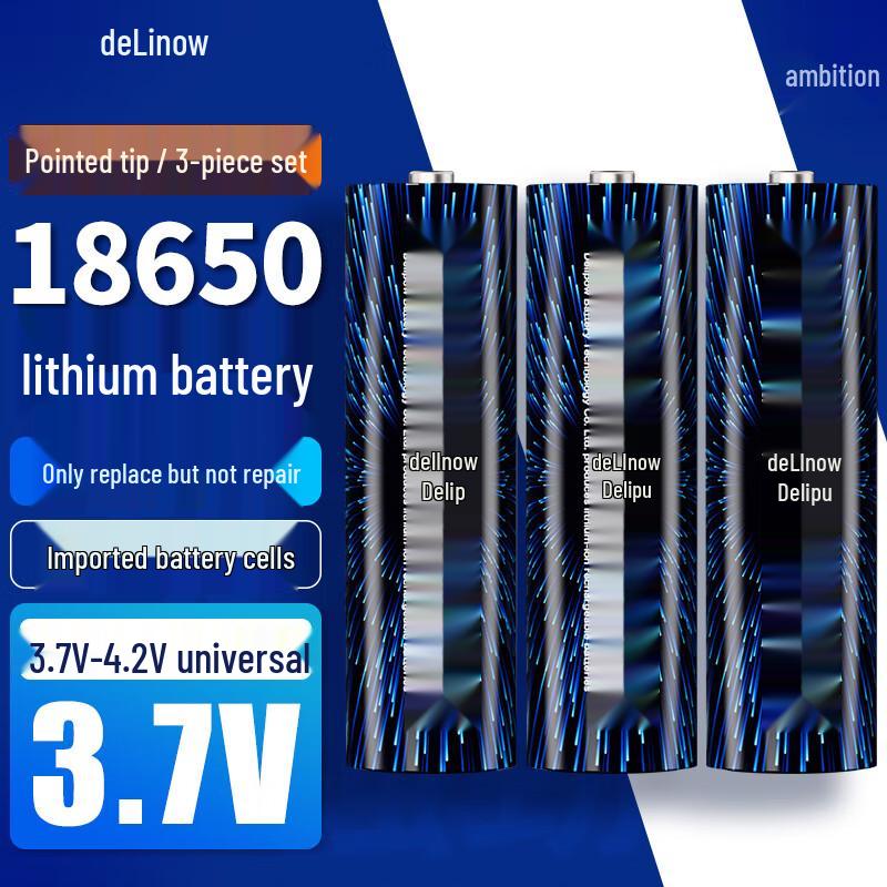 Delipow 18650 3.7V-4.2V Rechargeable Li-ion Battery for Flashlights CN plug (adapter included)